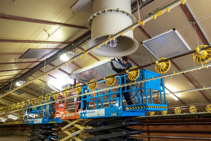 The importance of lighting in poultry production