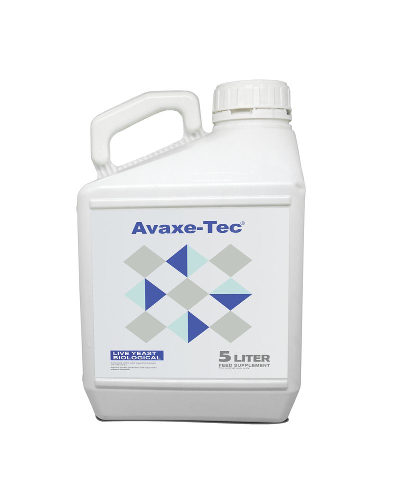Avaxe-tec