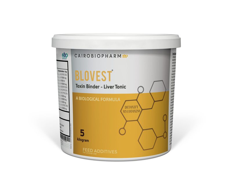 Blovest