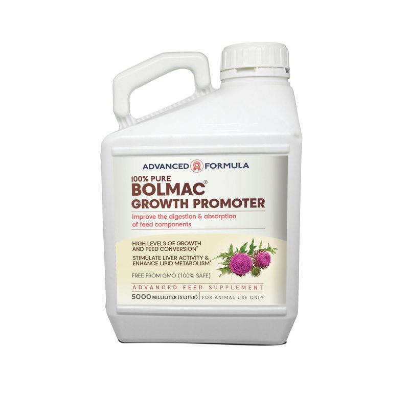 Bolmac