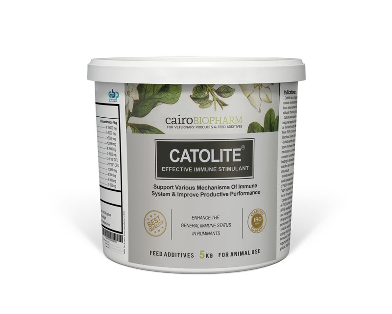 Catolite