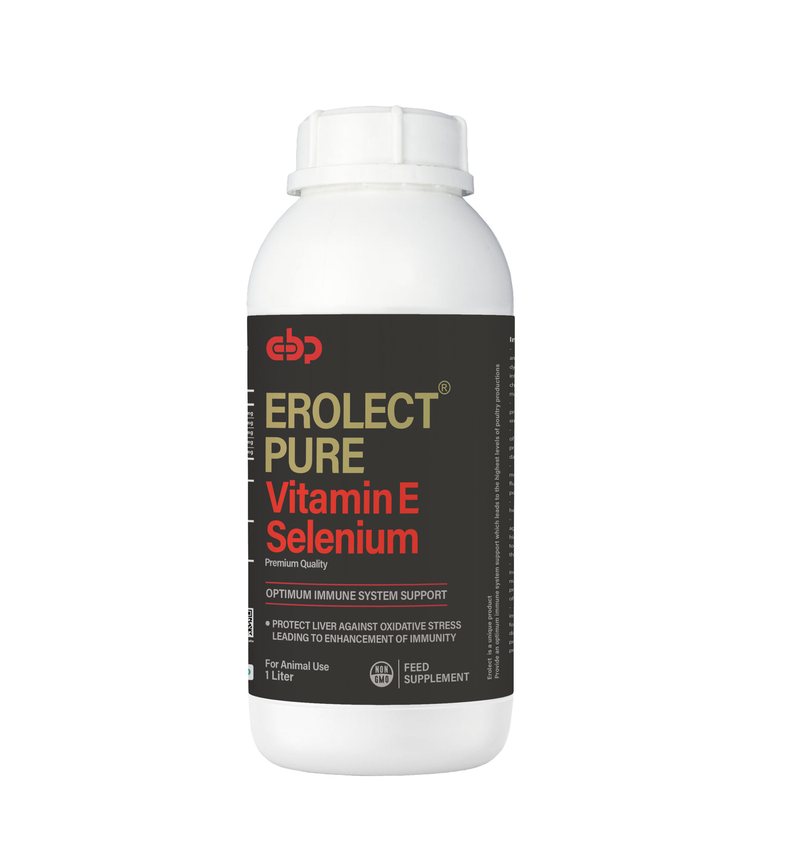 Erolect