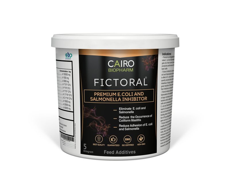 Fictoral