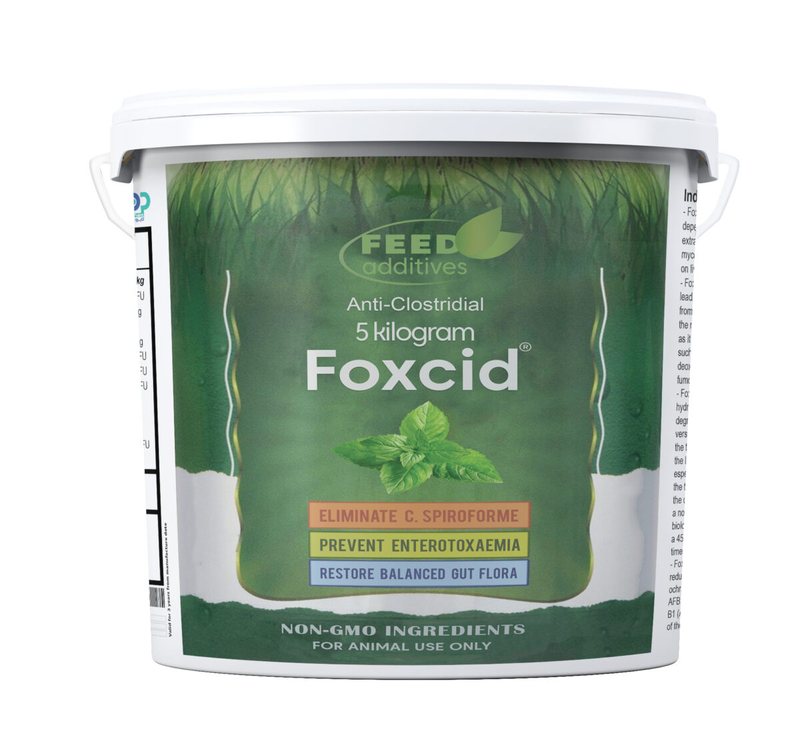Foxcid