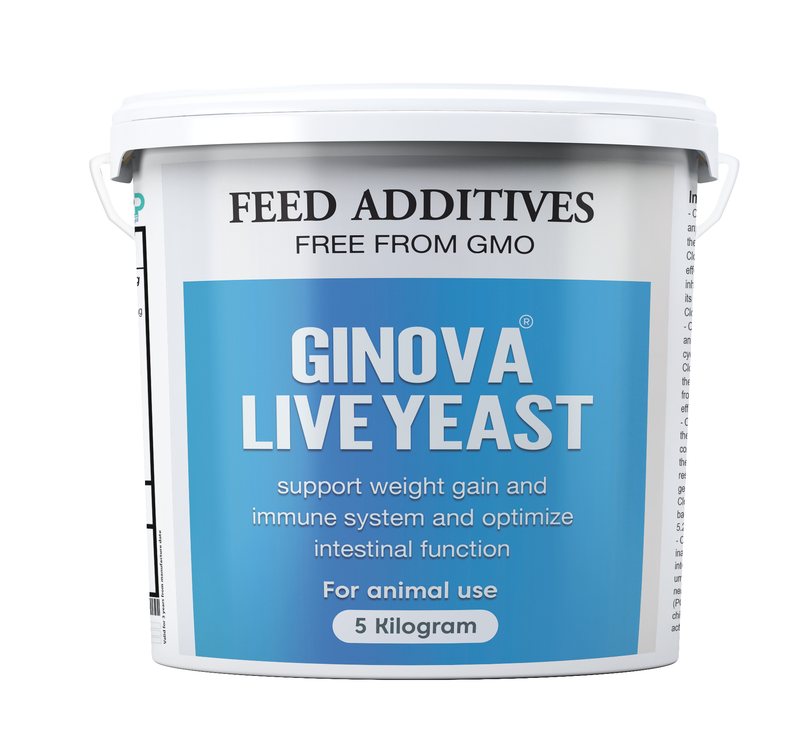 Ginova