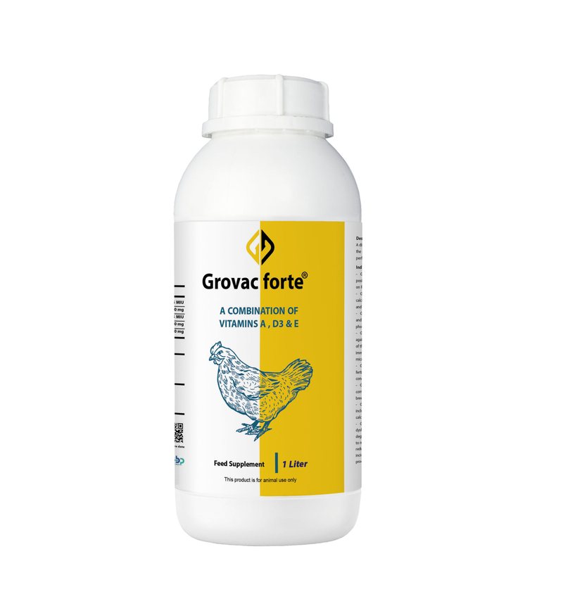 Grovac forte