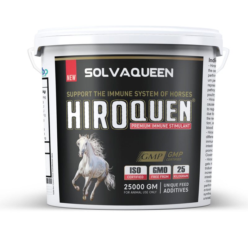Hiroquen