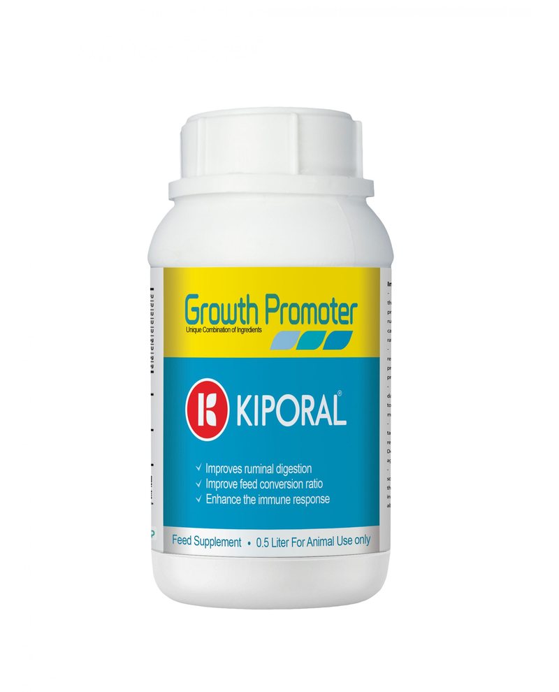 Kiporal