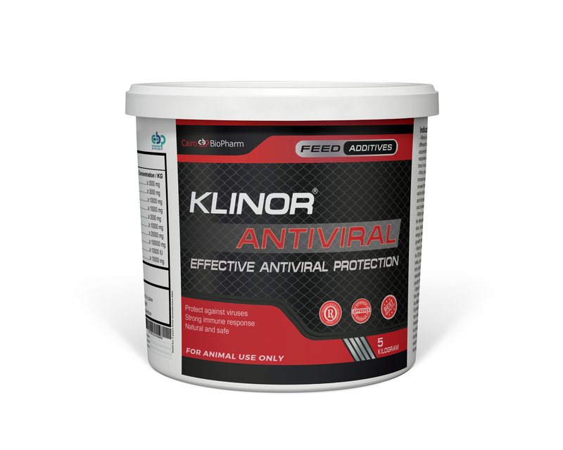 Klinor