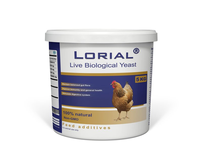 Lorial