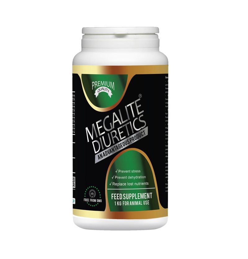 Megalite