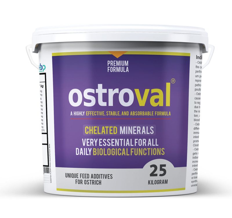 Ostroval