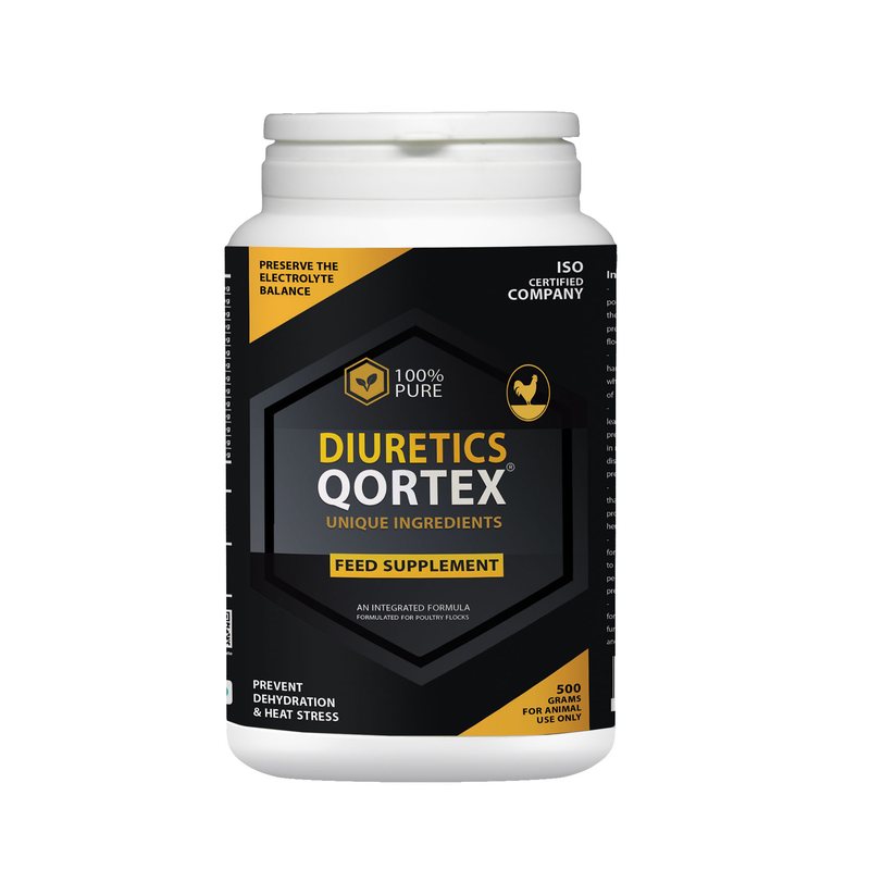 Qortex