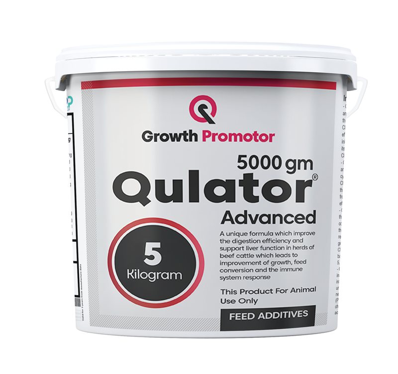 Qulator