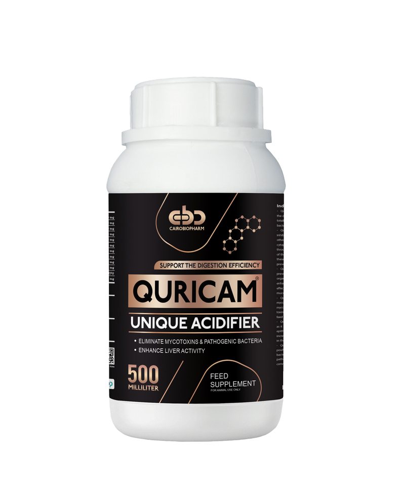 Quricam