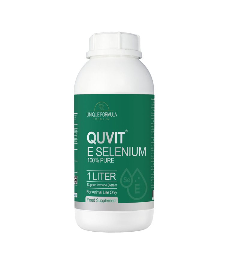 Quvit
