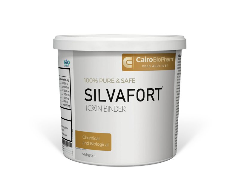 Silvafort