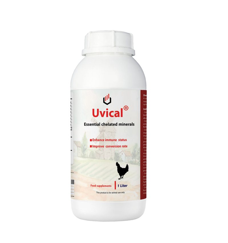 Uvical