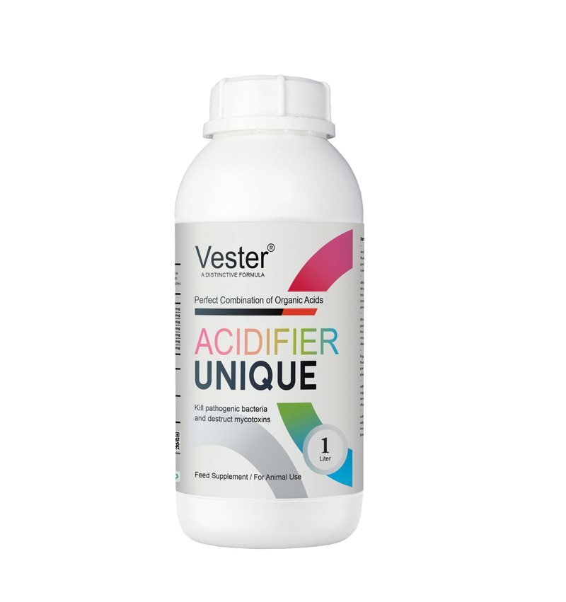 Vester