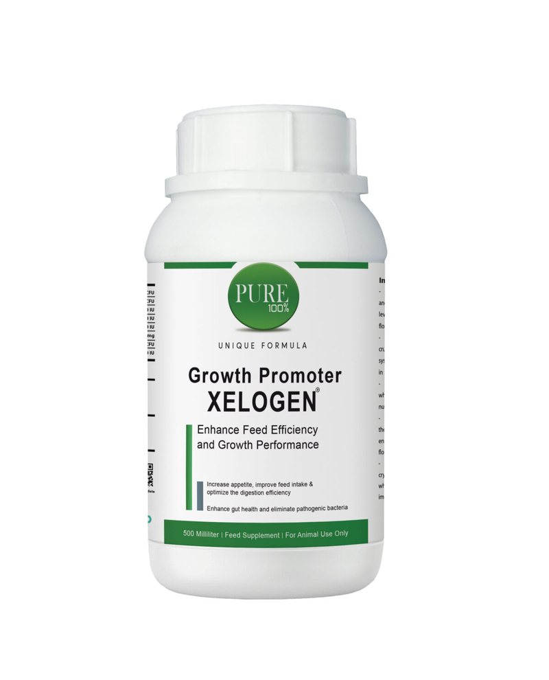 Xelogen